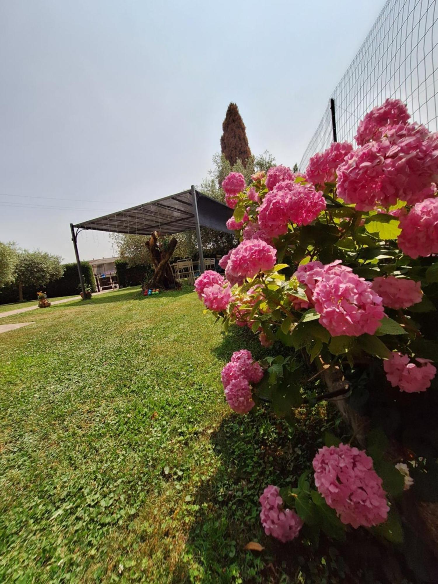 Apartamento Dolcitalia Tra Gardaland E Le Terme Di Lazise *